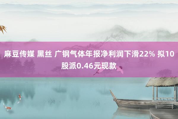 麻豆传媒 黑丝 广钢气体年报净利润下滑22% 拟10股派0.46元现款