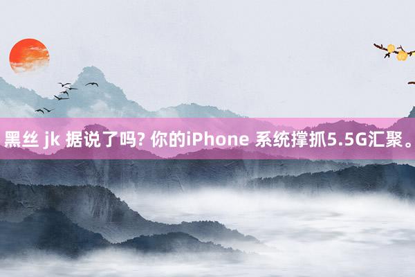 黑丝 jk 据说了吗? 你的iPhone 系统撑抓5.5G汇聚。