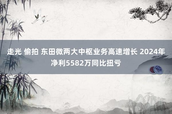 走光 偷拍 东田微两大中枢业务高速增长 2024年净利5582万同比扭亏