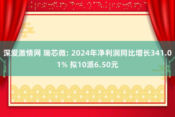 深爱激情网 瑞芯微: 2024年净利润同比增长341.01% 拟10派6.50元
