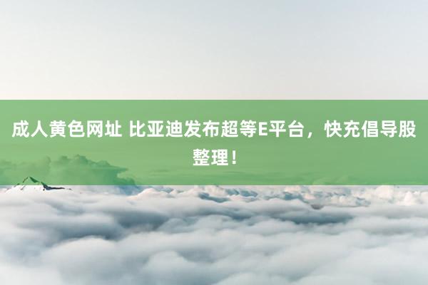 成人黄色网址 比亚迪发布超等E平台,快充倡导股整理!