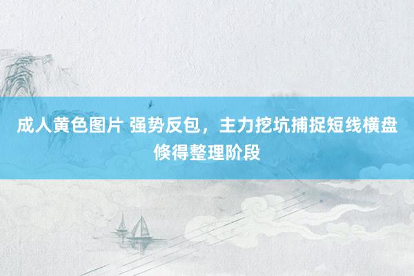 成人黄色图片 强势反包，主力挖坑捕捉短线横盘倏得整理阶段
